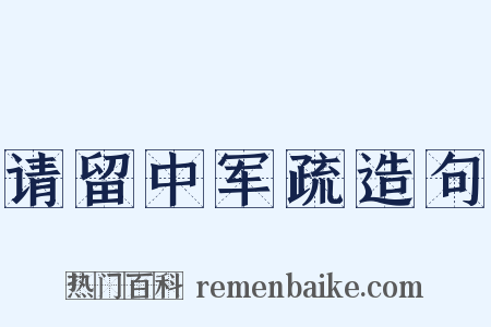 请留中军疏造句是什么意思的图片